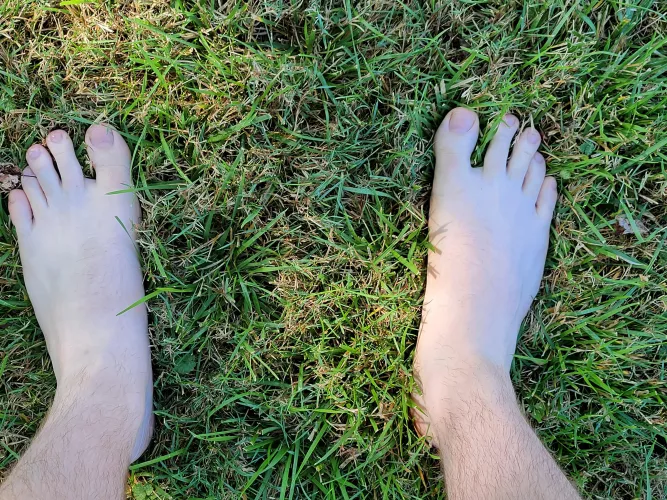 The grass feels good under my size 15 feet, but not as good as your tongue.