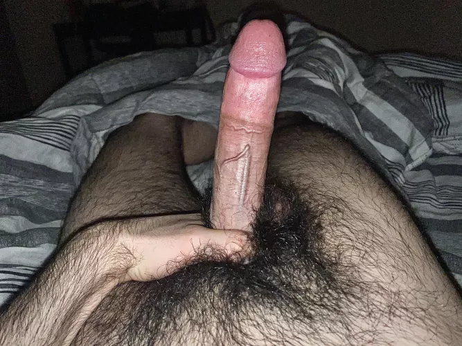 This alpha Arab dick is gonna stuff u with cum