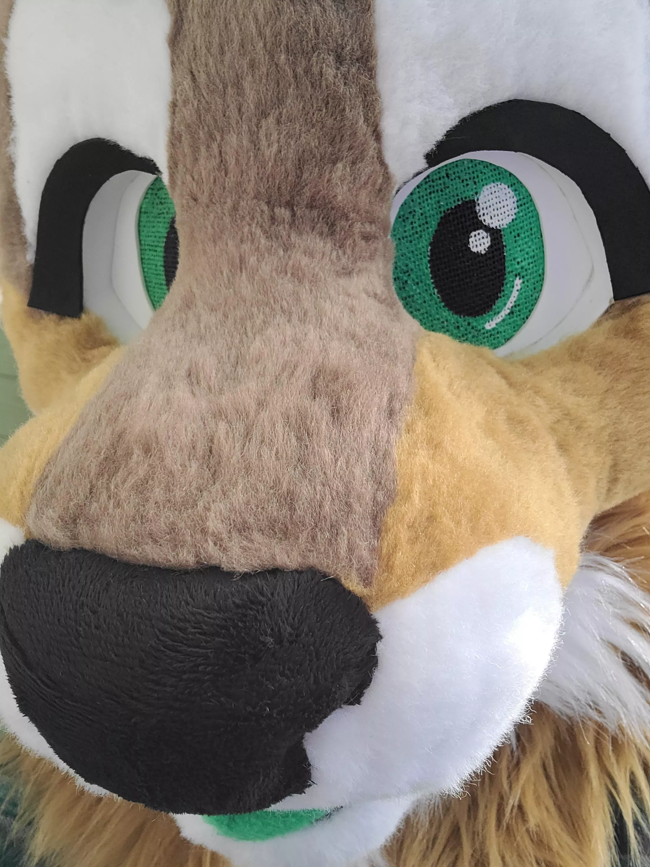 Yall giving out boops?
