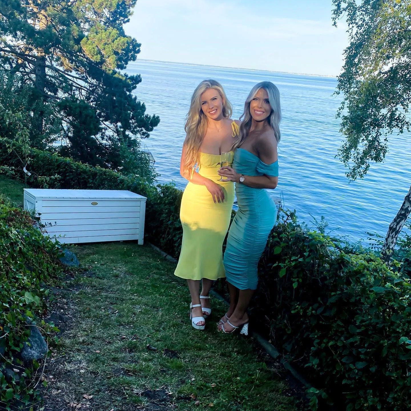 Yellow or Blue?
