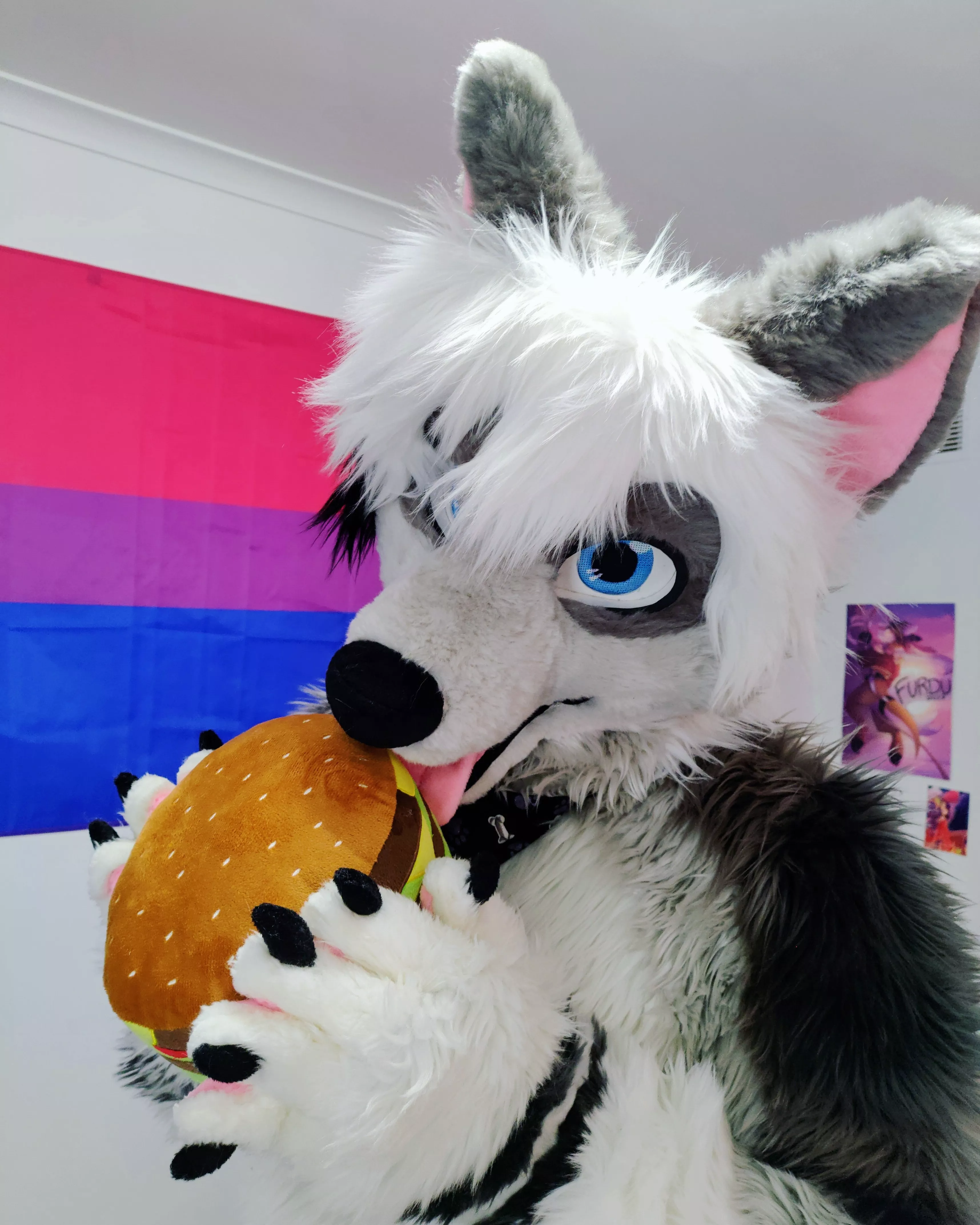 Borgir 🍔