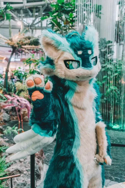 Does anyone know this suit maker? I want to check them out and possibly commission