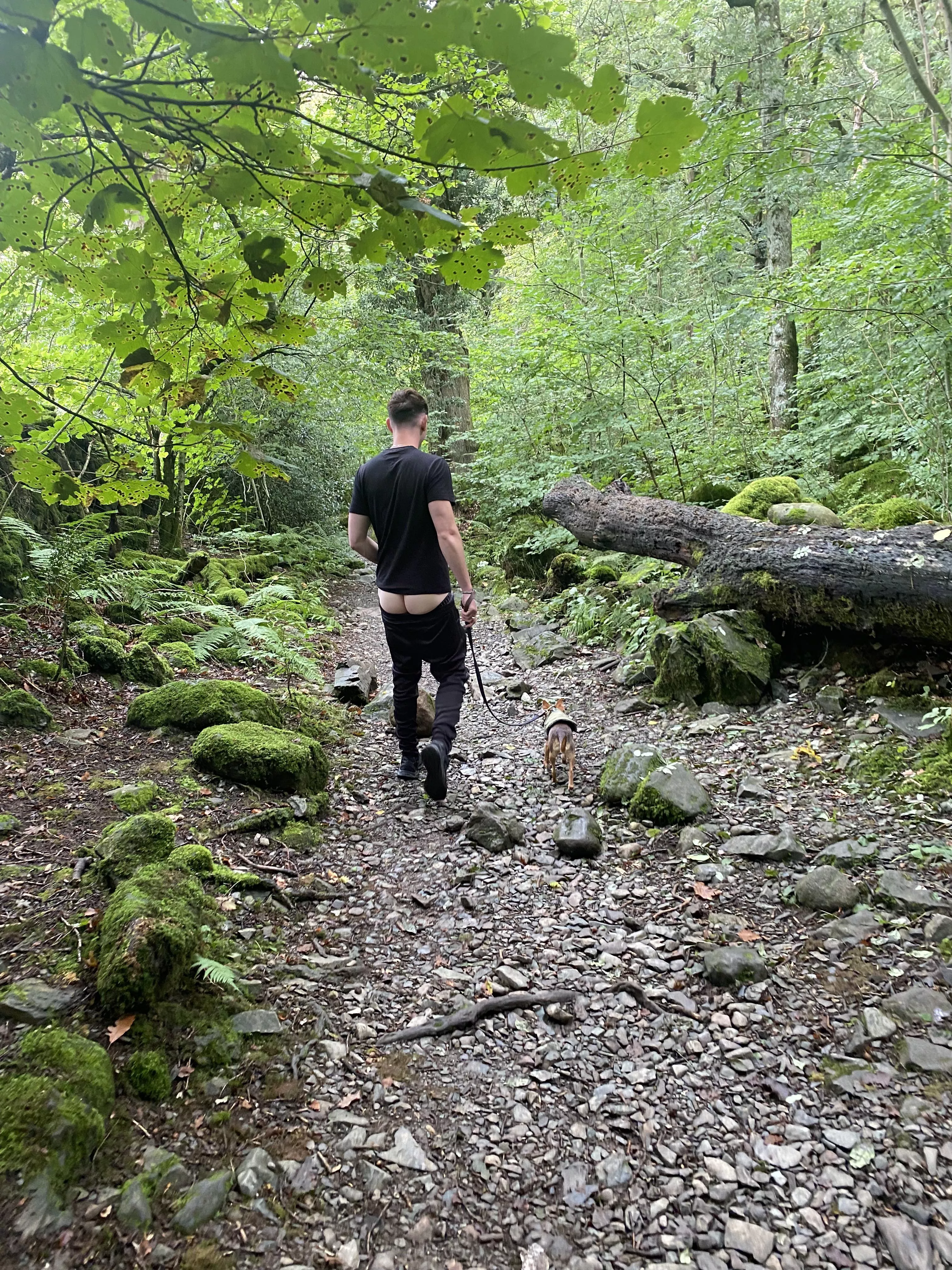 Dog walks in the woods are even better when my boyfriend gets his beautiful bum out for me. 😍