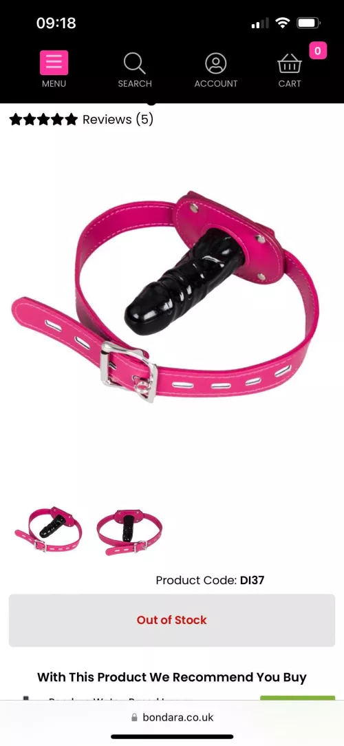 I love girls housing this gag! Does any girls on here use it?