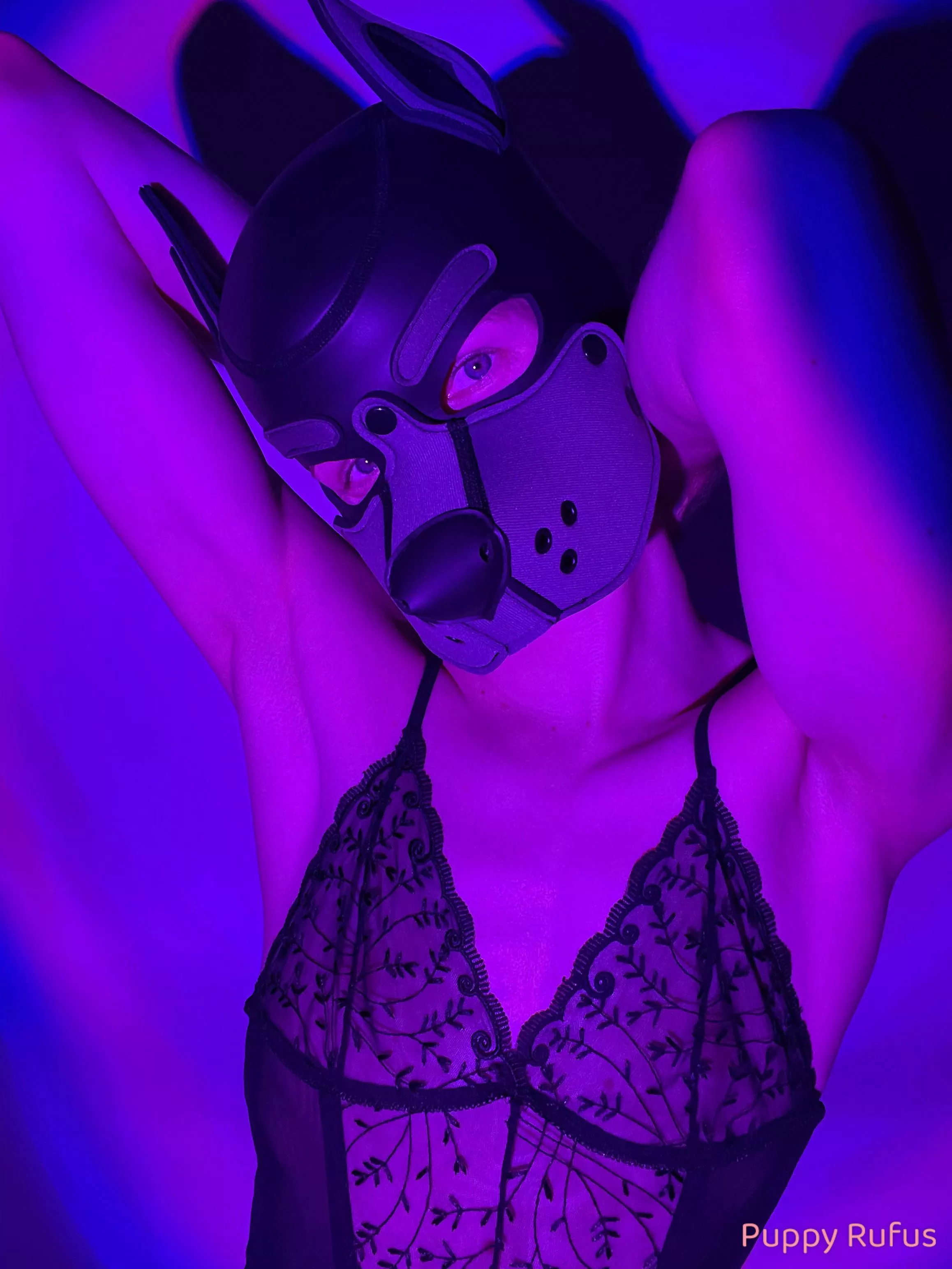 let's rave 🐾
