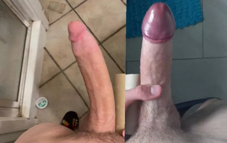 skinny vs thicc