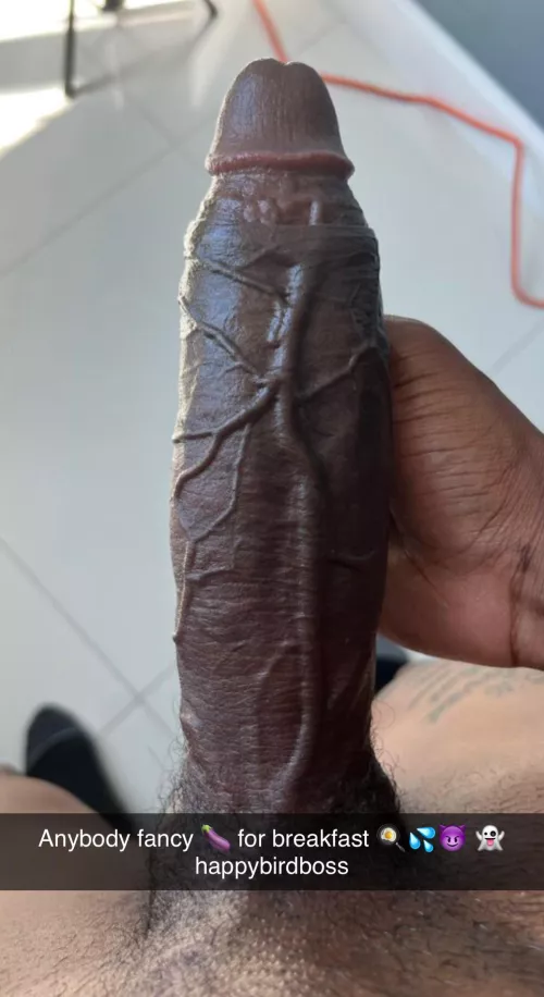 Veiny Chocolate is on the breakfast menu today..what u waiting for 😈slut