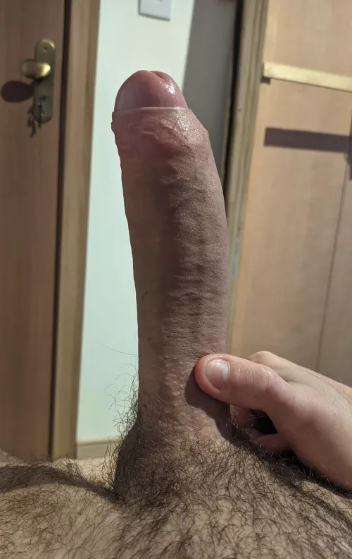 Was told it looks perfect in this pic. What do you think? ☺️