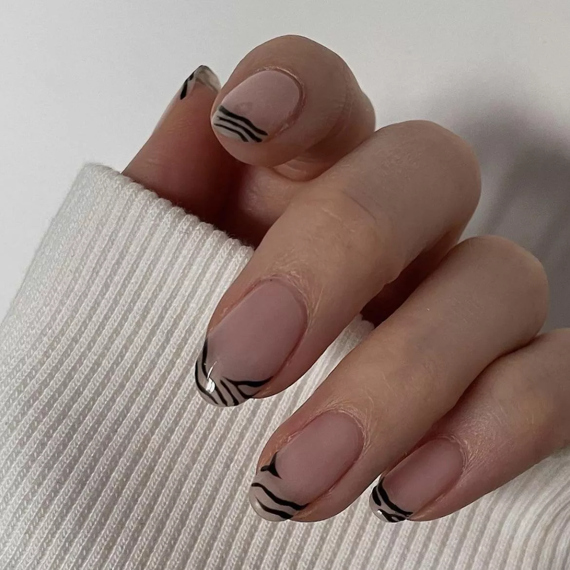 Zebra 🦓