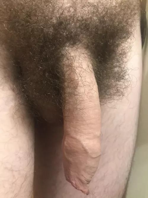 A full foreskin and a bush of pubes. A way the penis was intended!