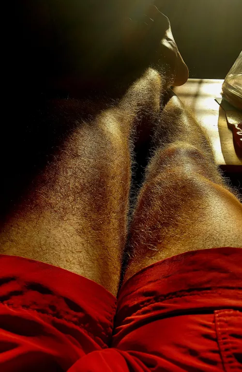 In the morning glow.