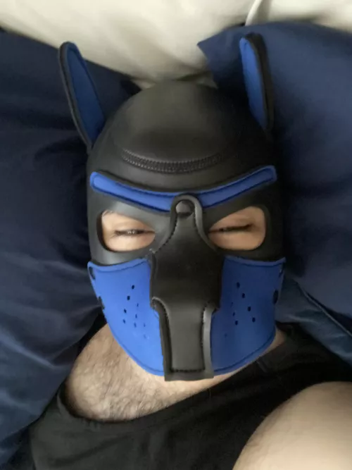 Played a lot last night… can I just stay in bed today?