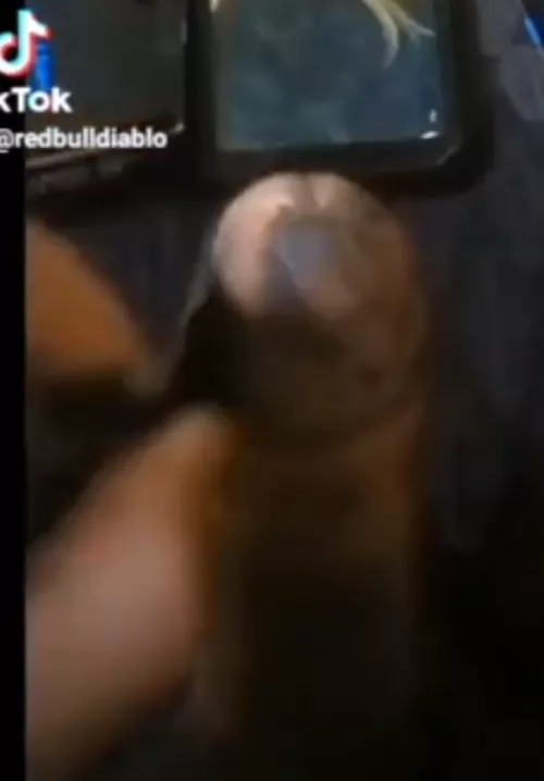 Redbulldiablo put Ghost Pepper on his dick