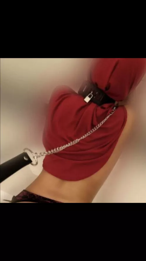 Superior White American Owner Looking For New Inferior Housewhore Fuck Toy