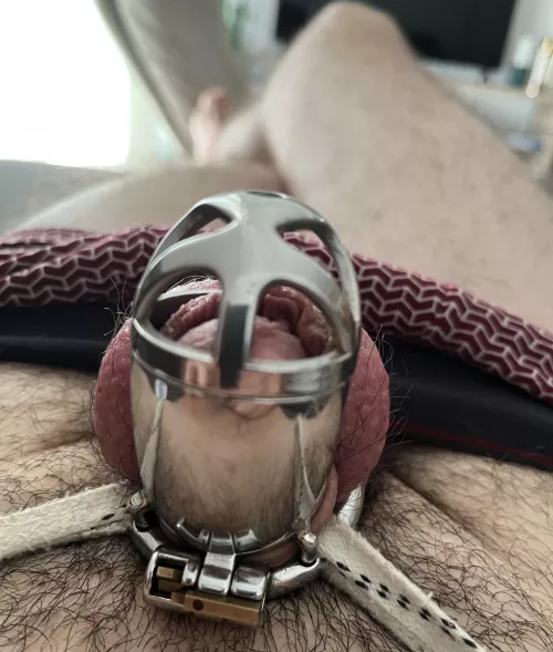 Time to downsize I guess…