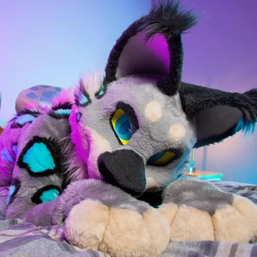 Uwu come snug!