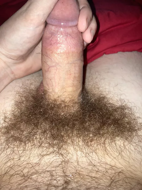 Haven’t trimmed in a year