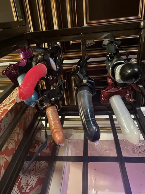 i wont hurt you,will you let me take care of you?