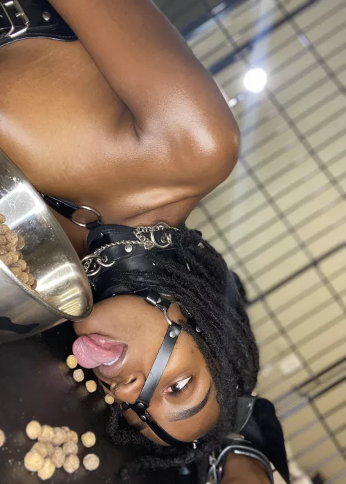 I’d rather be tasting you master…..🥺🐾