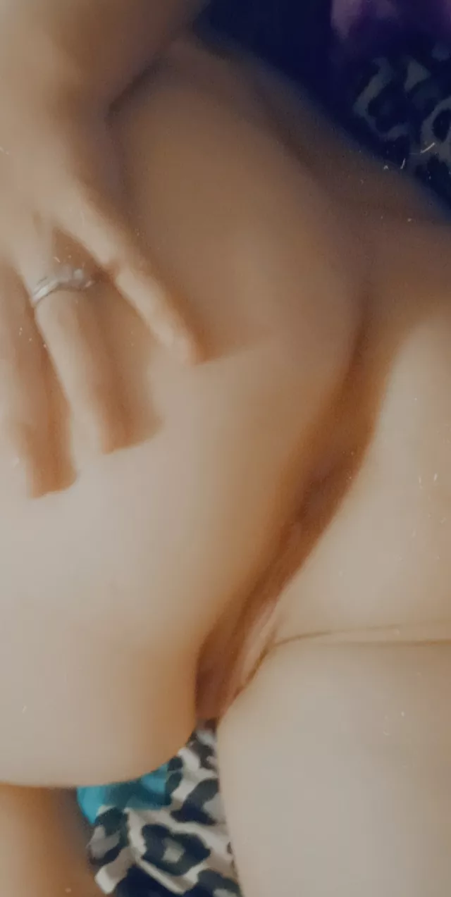 Pregnant wives are always horny 🥵 25 F