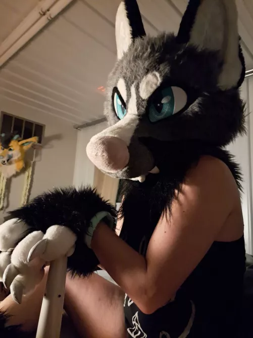 The vixen and a magic wand are a blessing and a curse.