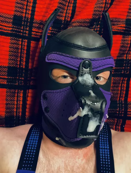 This puppy has a bad habit of making a mess on his face. Come clean me off