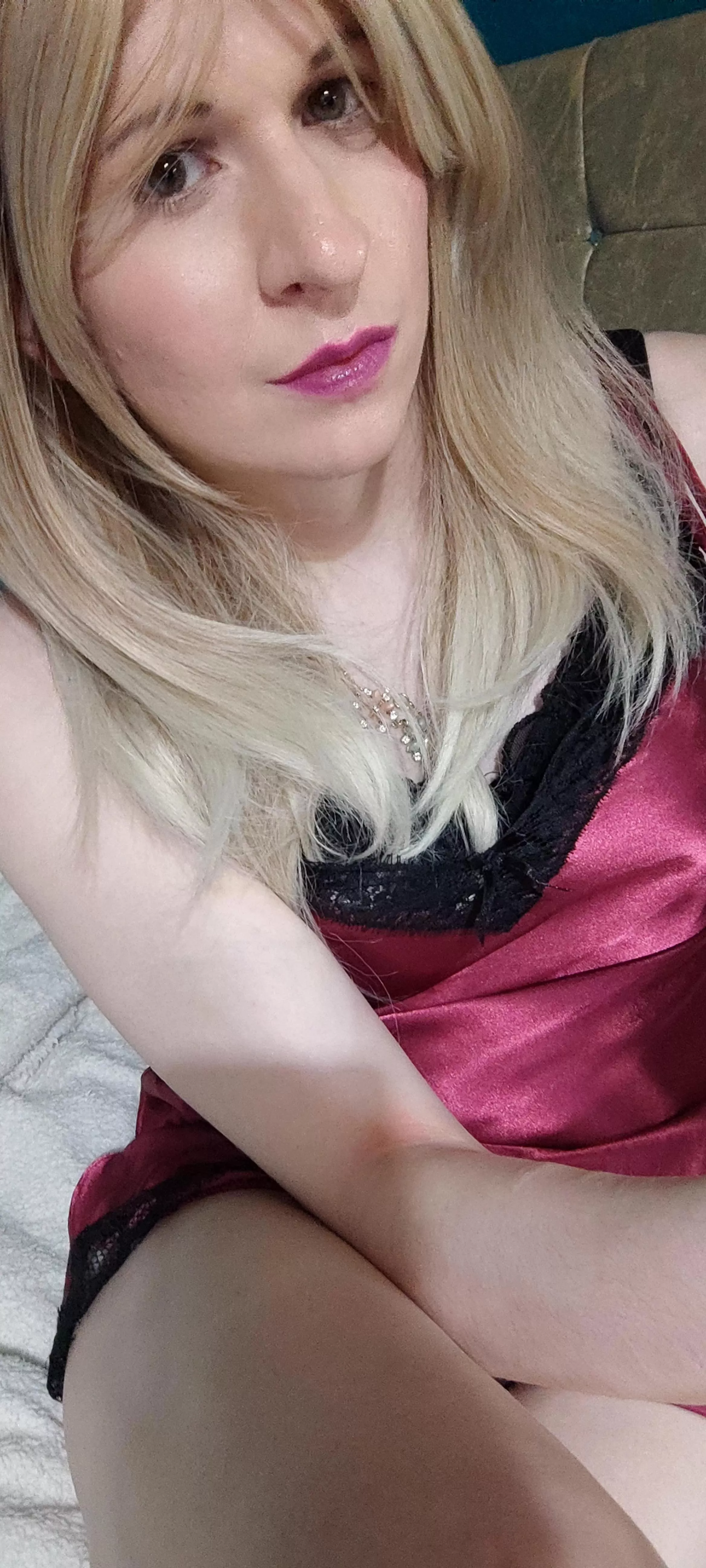 🌹🌹🌹🌹🌹