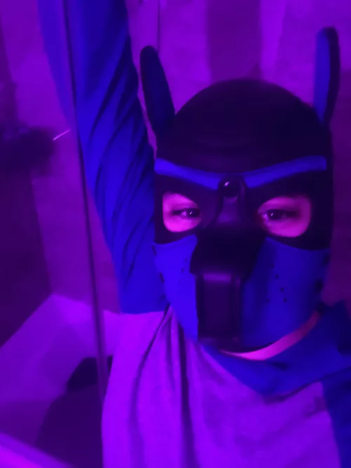 Change of location for me-time tonight. Wish the color contest was true to life.