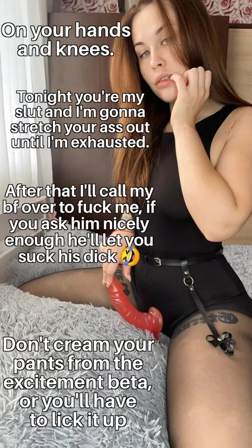 I made your dream come true cucky 🤣