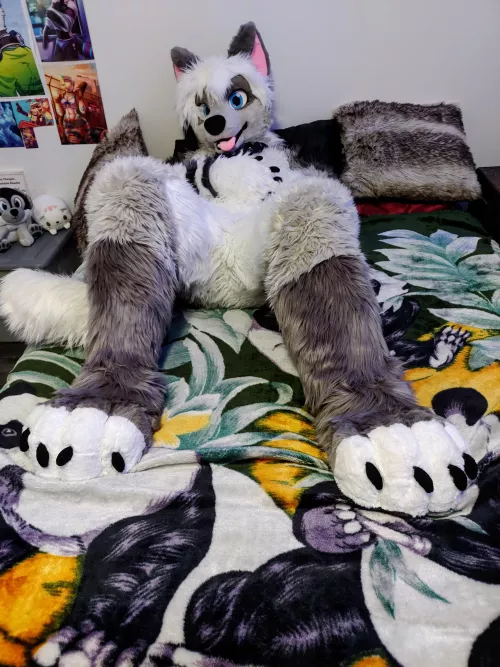 Lay on top and snuggle doggie 🐶