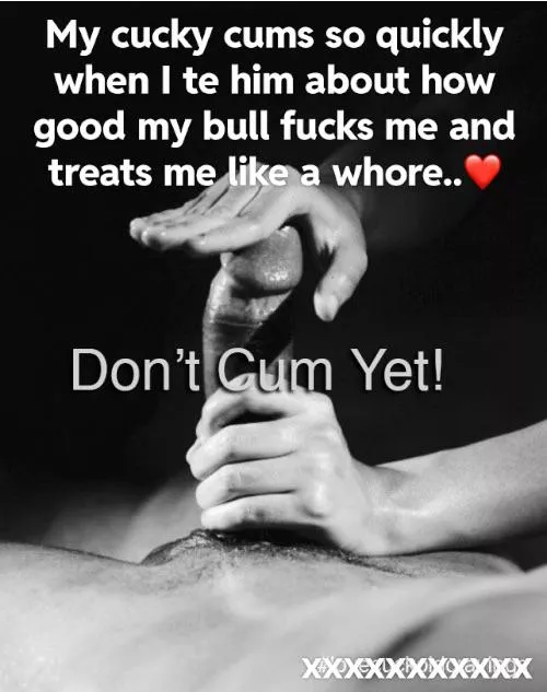 Don’t cum cucky