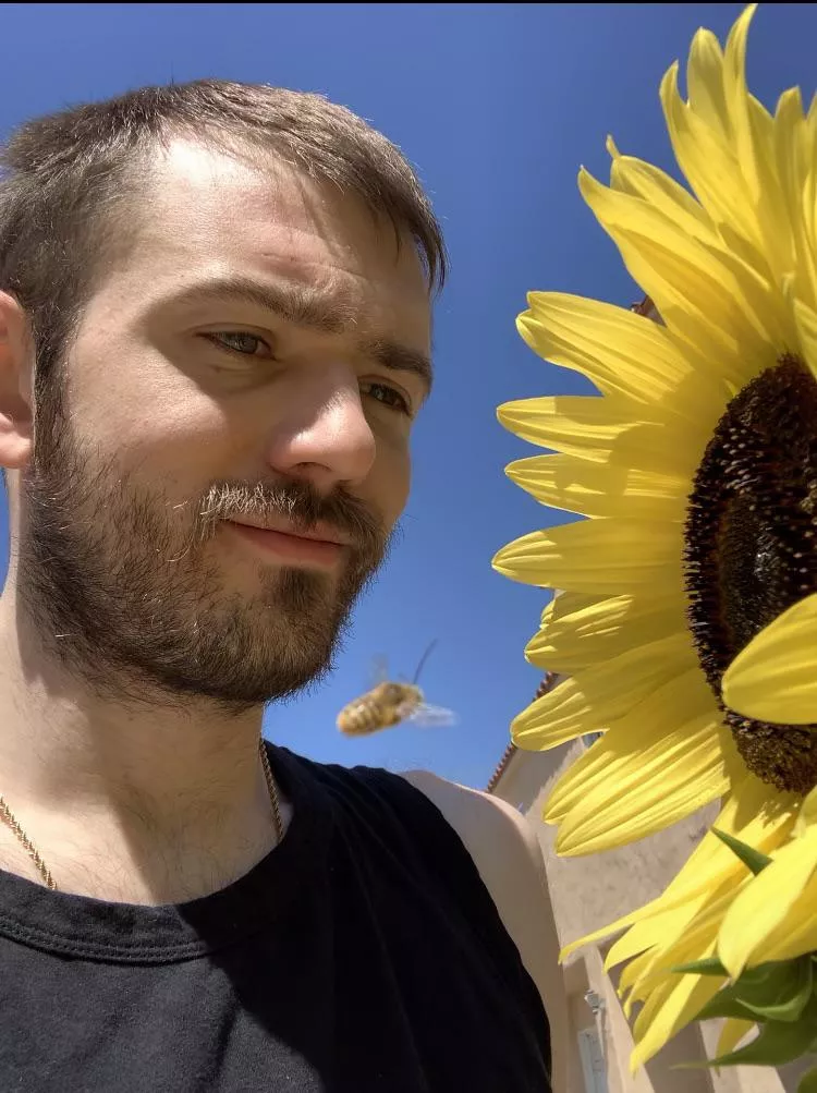 Just me and a bee in my garden 😸 🐝 🌻