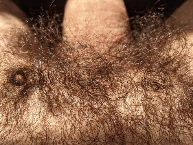 my sex pheromone factory