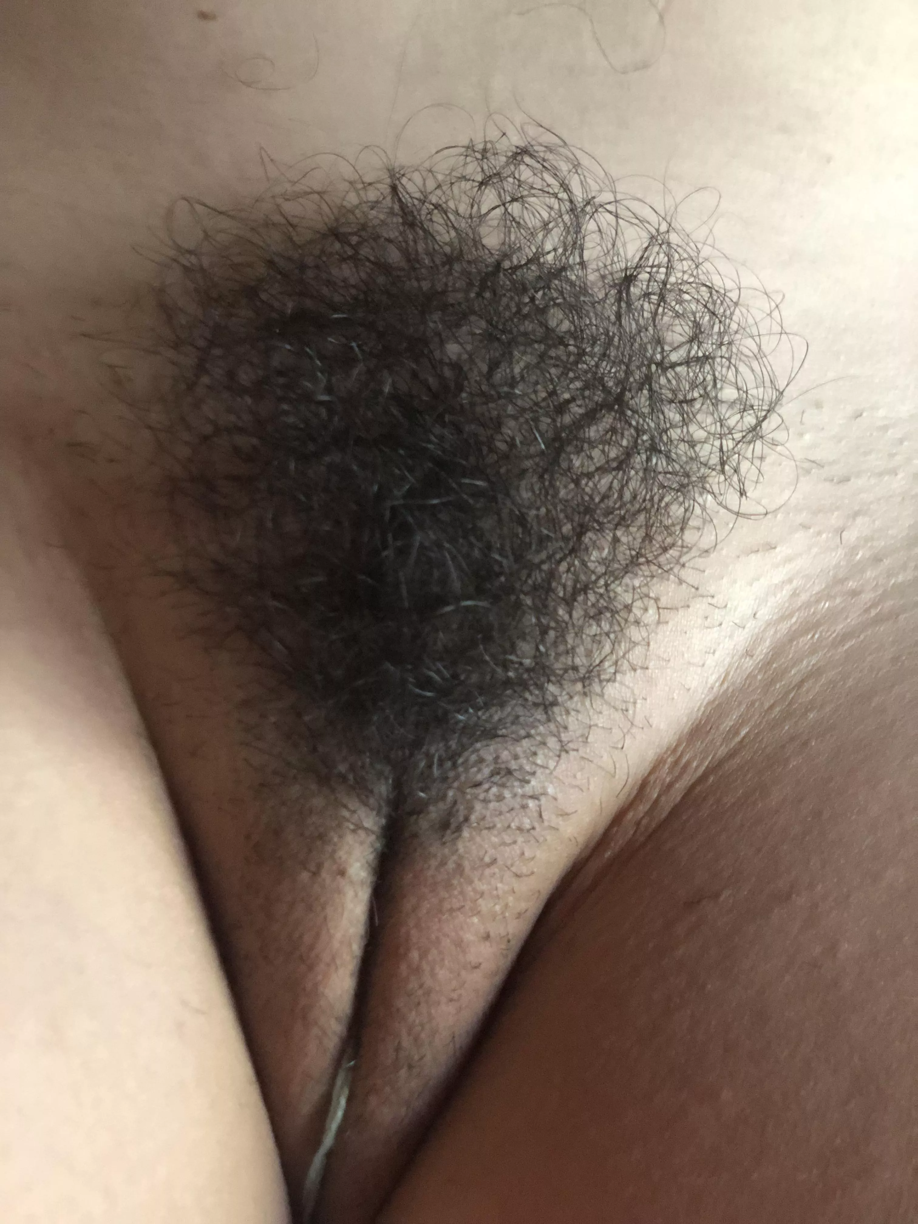 Would you ignore the string and lick my hairy pussy?