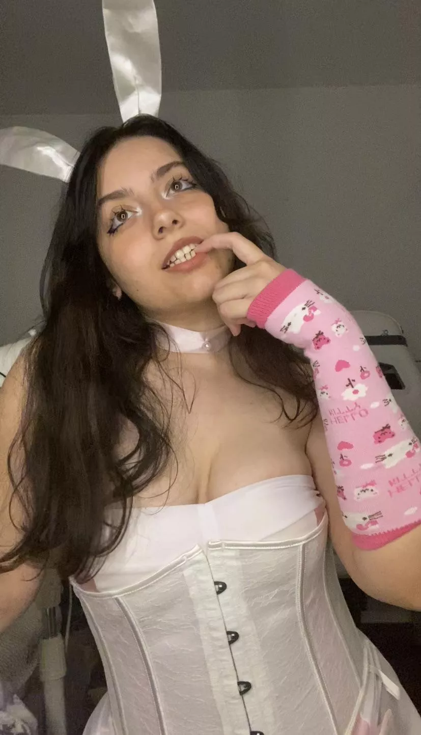 🐰