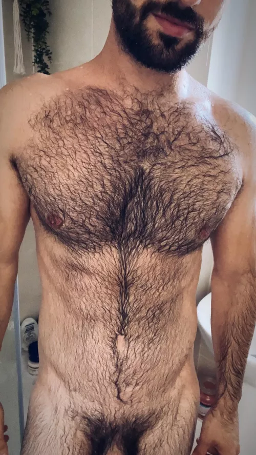 Do you like wet hairy men?
