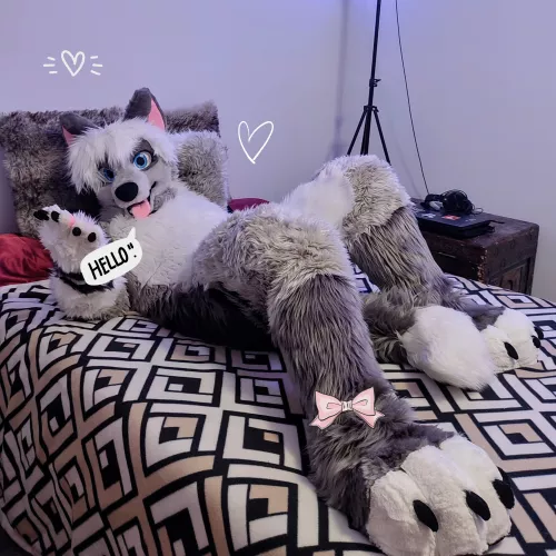 Doggo greets you 🐶