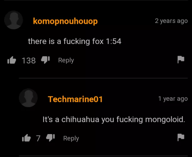 fox or Chihuahua? We'll never know