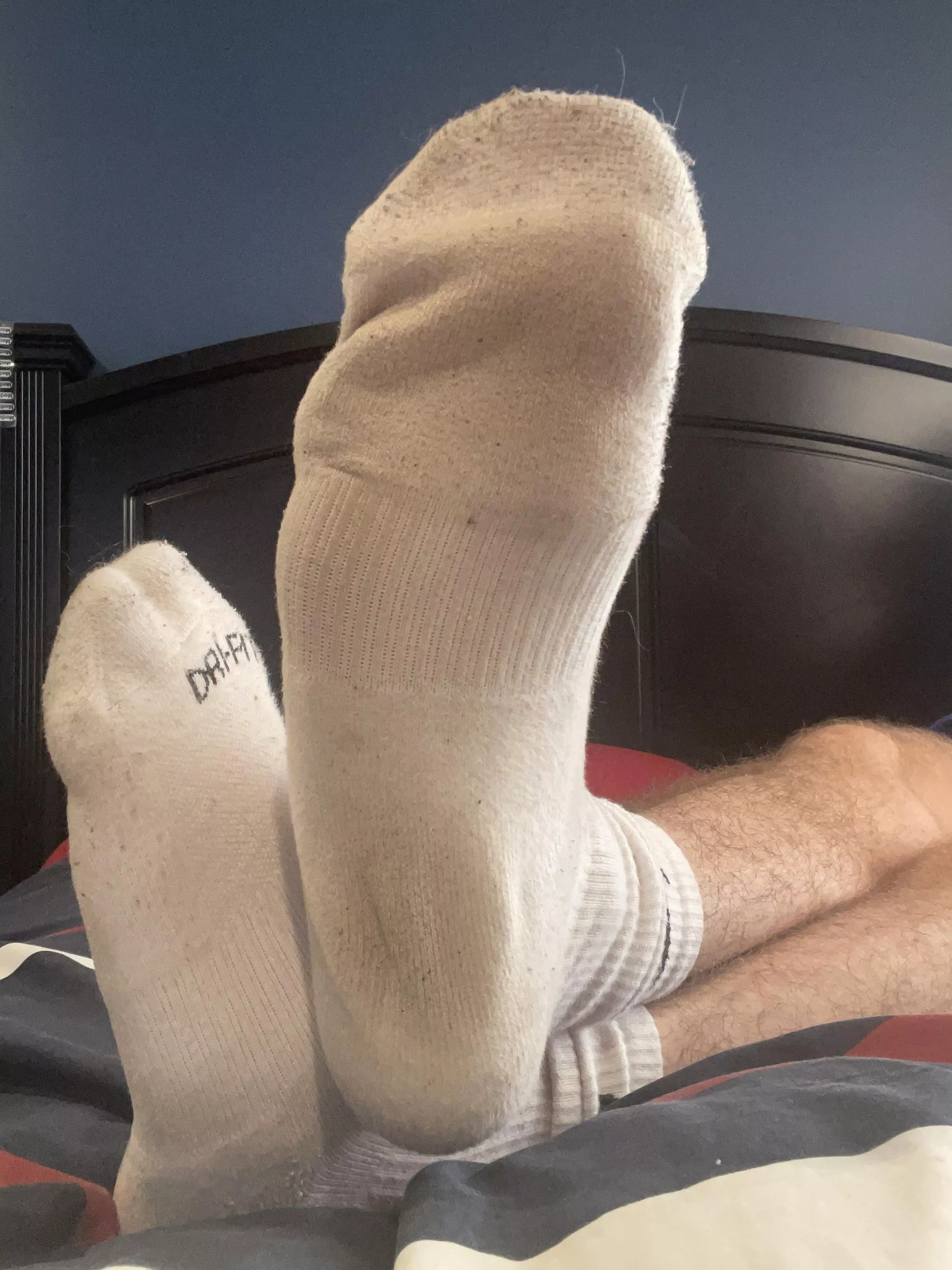 How do they look?