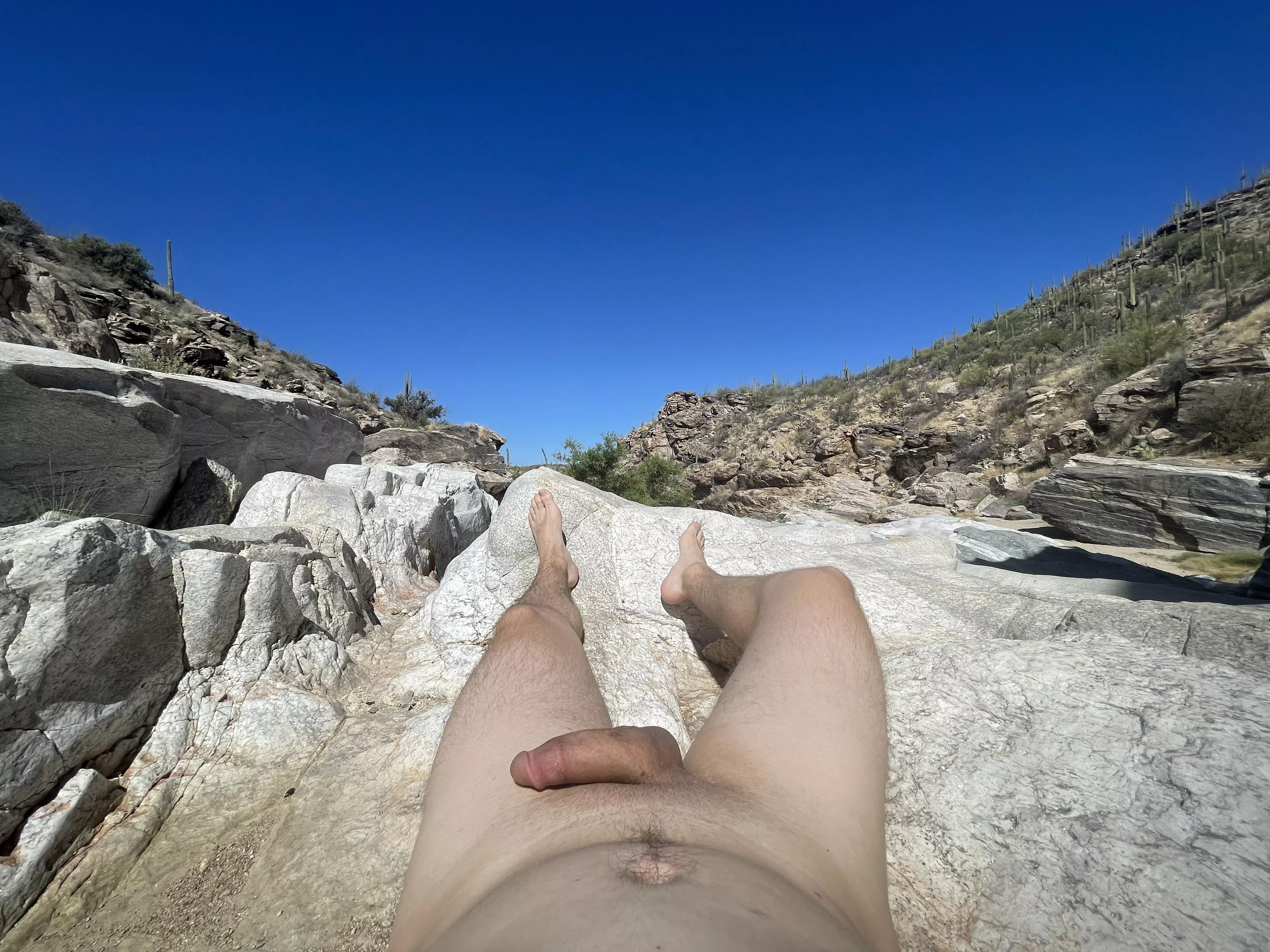 In nature 🌵