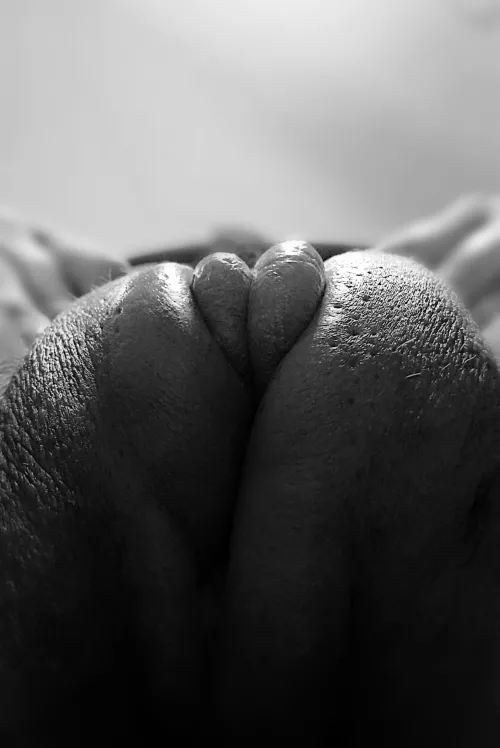 Pumped Pussy Masterpiece