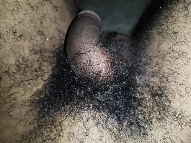 Why let life drag you along when you can just take me?