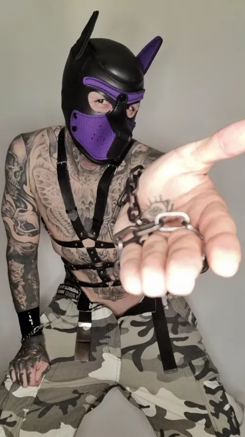 Would you like to take a walk with me? 🐶🥰