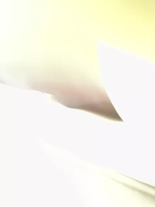 Any know any discord or telegram chats that have full videos. For example fm concepts? If so please share link.