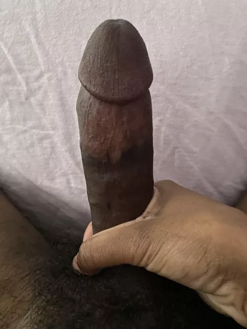 Care to keep this Black Dick company? Should I posts more?
