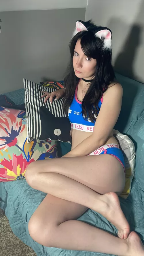 My owners said they’d euthanize me because I’m a slut😿 Can I be your kitty?