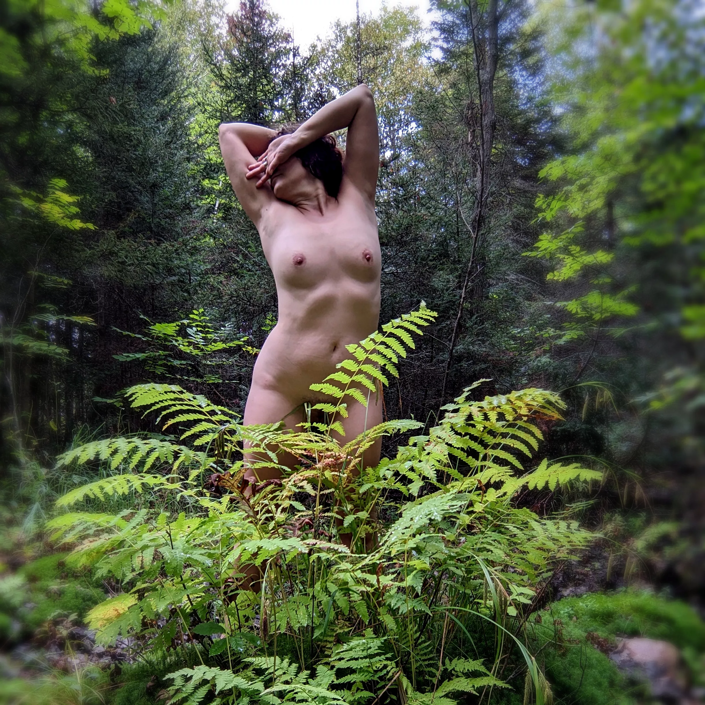 OnlyFerns