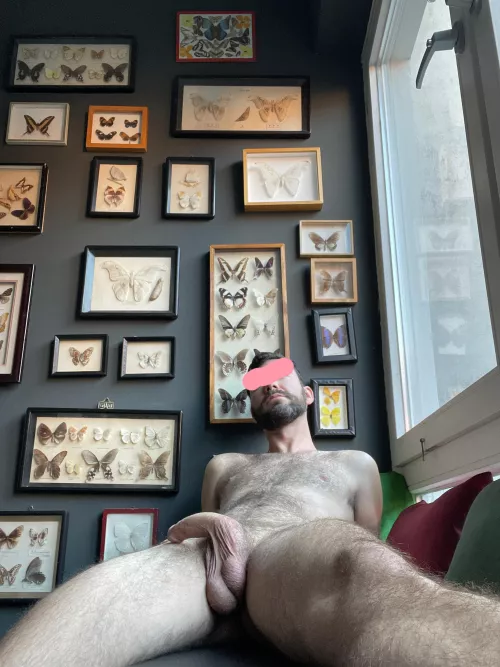 Brought my own butterfly