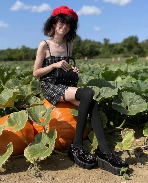 Day at the pumpkin patch! I’m so ready for spooky season 🎃👻