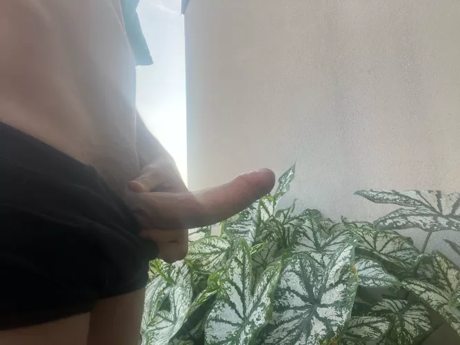 don’t you just love the breeze